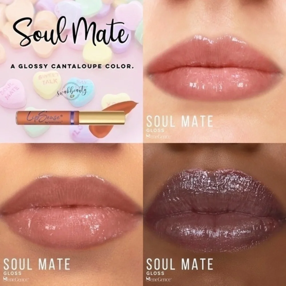 NWT. LIPSENSE Soul Mate Gloss